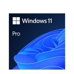 Phần mềm Windows 11 Pro Online DwnLd NR (FQC-10572)