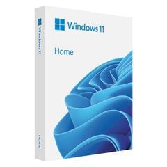 Phần mềm Microsoft Windows Home 11 64Bit USB (HAJ-00090)