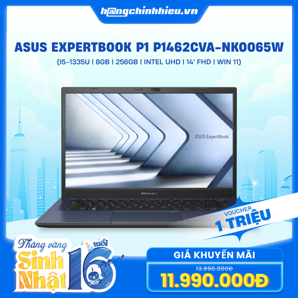 Laptop ASUS ExpertBook P1 P1462CVA-NK0065W (i5-1335U | 8GB | 256GB | Intel UHD | 14' FHD | Win 11)