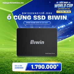 Ổ cứng SSD Biwin M100 512GB SATA III 2.5 inch (BM100NN512G-RGX)