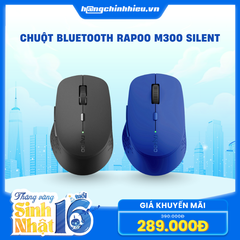 Chuột không dây Rapoo M300 Silent