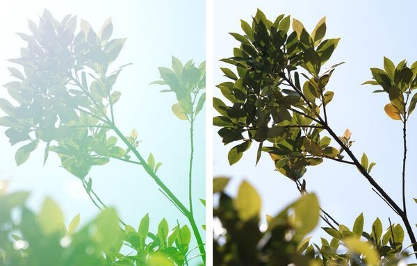Ống kính Sigma 30mm F1.4 DC DN dành cho ngàm Sony E