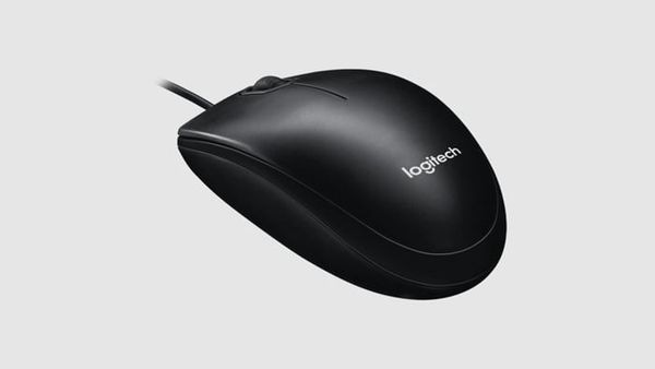 Chuột Logitech máy tính B100