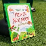 Sách: Combo Bé Học Điều Hay Từ Truyện Kể (3 Cuốn)