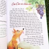 Sách: Combo Bé Học Điều Hay Từ Truyện Kể (3 Cuốn)