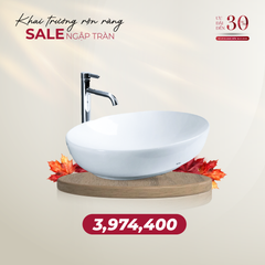 Chậu đặt bàn LT1705