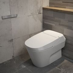 Bàn cầu NEOREST XH I CW992VA/TCF992WA/T53P100VR