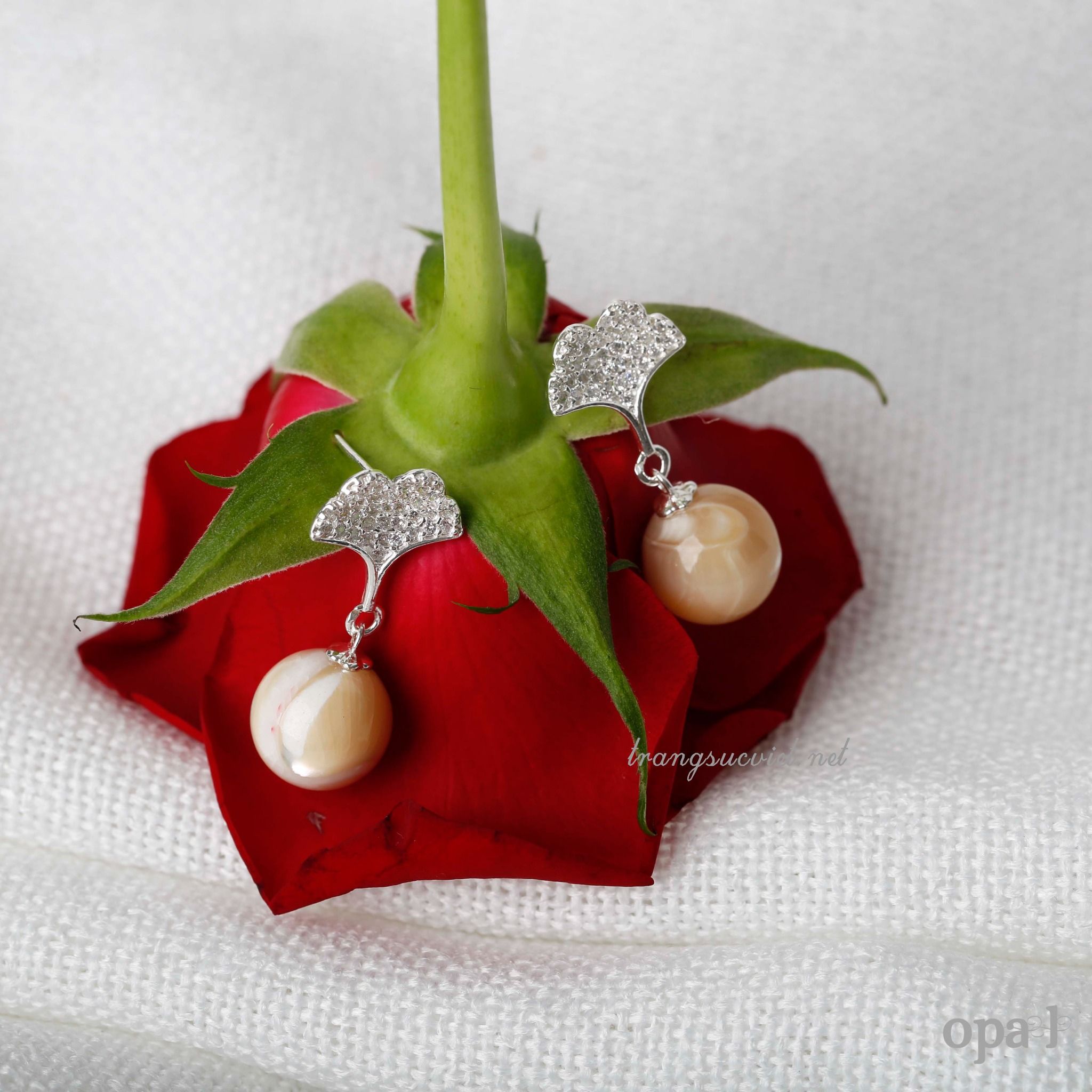  Hoa tai bạc đính đá, vẻ đẹp khác biệt 