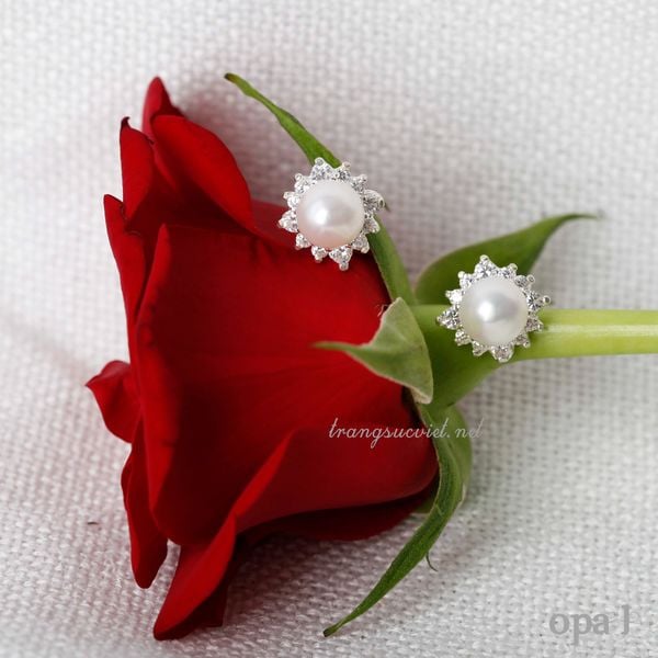  BST Hoa tai bạc đính ngọc trai và đá tặng mẹ 