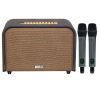 Loa Acnos Acoustic 3 V26, 220W RMS, Bass 25 cm, Bluetooth 5.0, USB