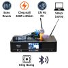 Đẩy liền vang Neko AK3500 (450Wx2 Kênh)