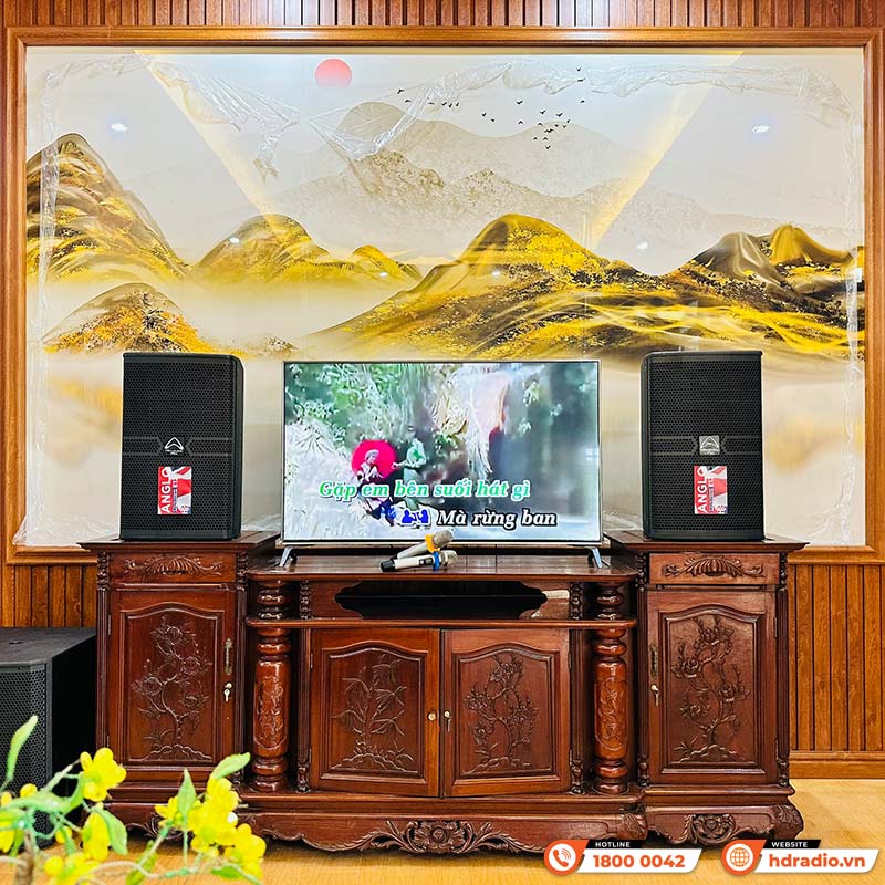 Ảnh minh họa Dàn Karaoke Cao Cấp HDR51 (Whafedale Anglo E12, Công suất, Jkaudio X6000 Plus, K500, Sub) 3