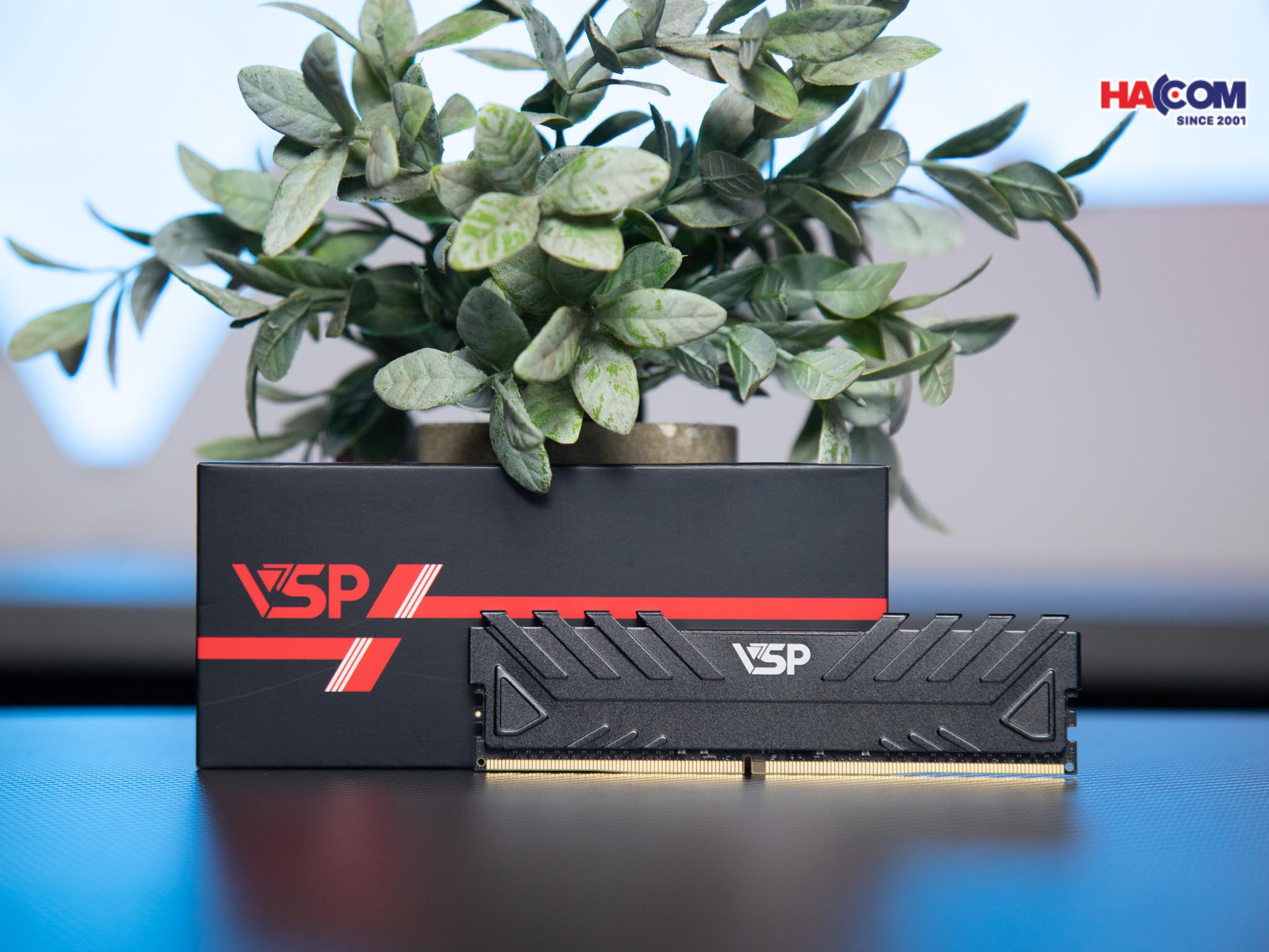 Ảnh minh họa Ram Desktop VSP (DDR4-16GDDR0143/0167/0172/0173) 16GB (1x16GB) DDR4 3200MHz 1