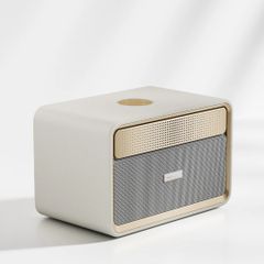  Loa Di Động Không Dây HiFuture Passion X 100W – GOLD (Bluetooth v5.4) 