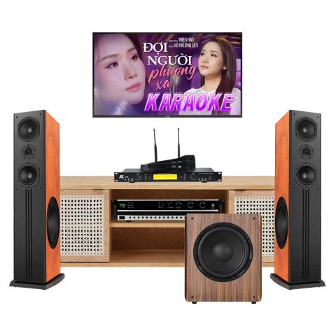 Dàn karaoke gia đình GD20 (Paramax D88 Limited)