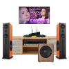 Dàn karaoke gia đình GD20 (Paramax D88 Limited)