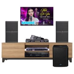  Dàn karaoke gia đình HDR100 (Wharfedale WH10 Pro) 