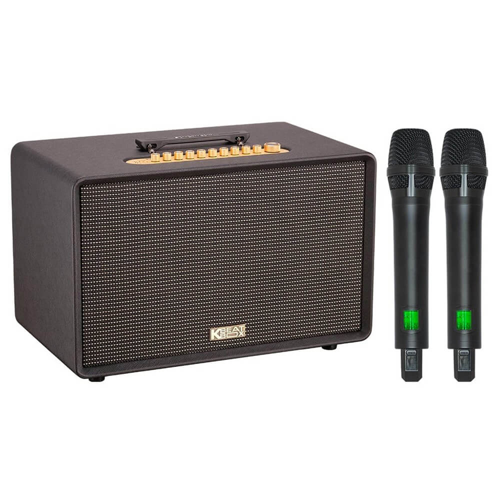 Ảnh minh họa ACNOS FLAC 39 – Loa Karaoke Di Động Cao Cấp 500W RMS, 2 Chip DSP, Bass Sub 25, Kèm 2 Micro 2