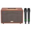 ACNOS FLAC 39 – Loa Karaoke Di Động Cao Cấp 500W RMS, 2 Chip DSP, Bass