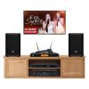Dàn karaoke gia đình KGD310 (ElectroVoice ZLX8-G2)