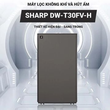 Máy hút ẩm và lọc không khí Sharp DW-T30FV-H 30L