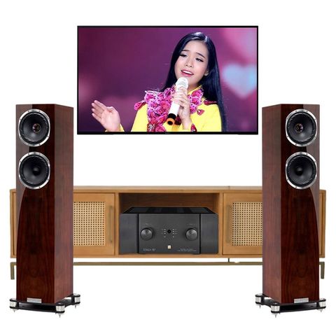 Dàn nghe nhạc cao cấp Fyne Audio 07 (Fyne Audio F501SP)