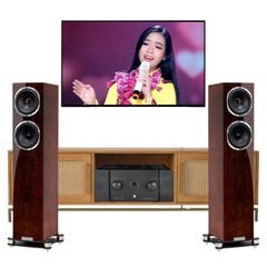  Dàn nghe nhạc cao cấp Fyne Audio 07 (Fyne Audio F501SP) 