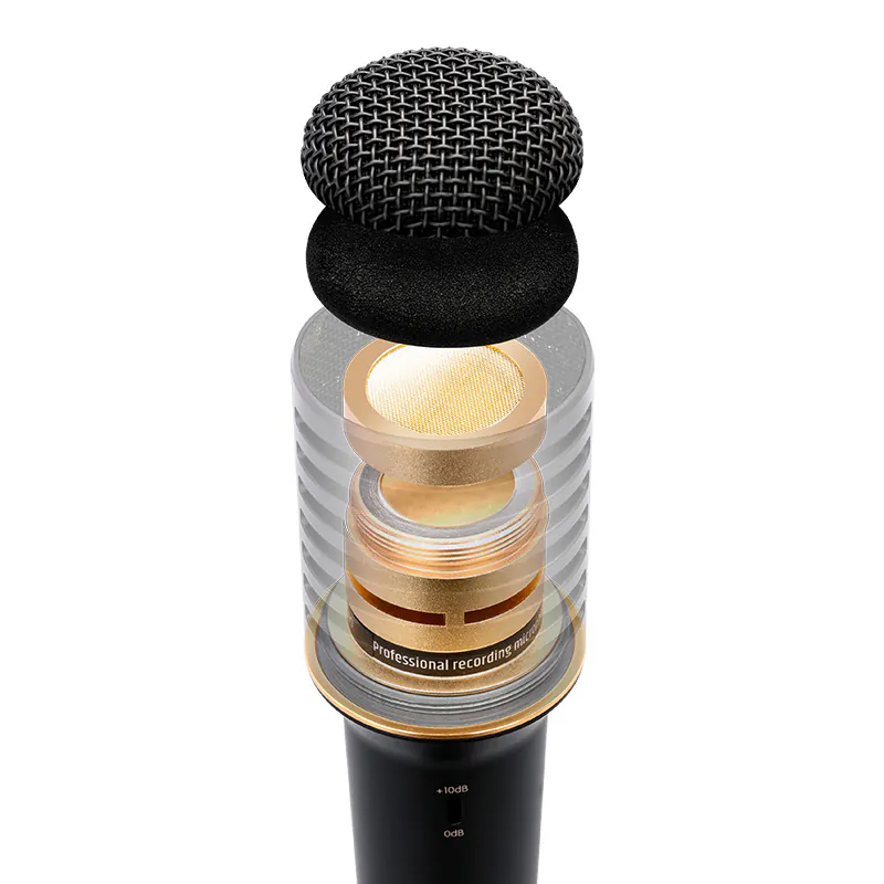 Ảnh minh họa Micro thu âm Takstar PCM-5600 Gen 2 (Condenser, Độ nhạy 39dB, Tần số 20Hz - 20kHz, Phantom 48V) 3