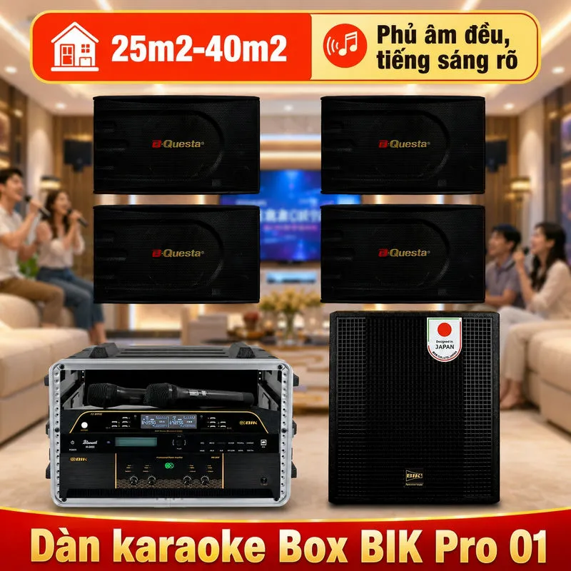 Ảnh minh họa Dàn karaoke Box BIK Pro 01 (BIK BK-C25, BIK VK-A54, Bksound KP500, BIK BBK-W55A, BIK BJ-U200) 1