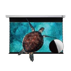  Màn chiếu điện quang học Vividstorm VMSLUST100H, 100 Inch) Dùng cho 