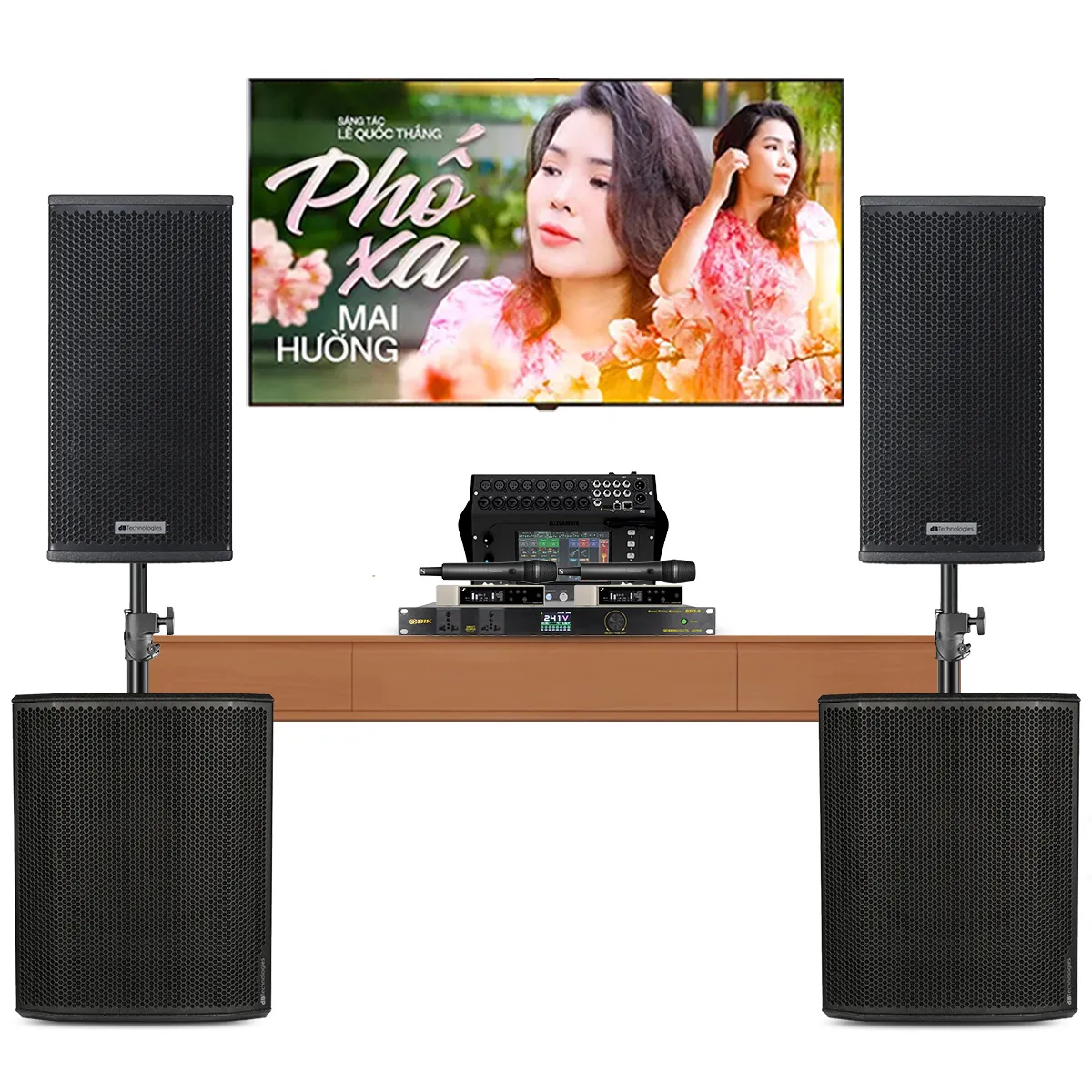 Ảnh minh họa Dàn Karaoke Siêu Cao Cấp Cho Gia Đình - Biệt Thự 09 (dBTechnologies Vio X12, Sub618...) 3