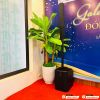 Dàn karaoke Column SK10 (Electro-Voice Evolve 50M)