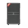 Loa Dalton TS-15G610N, Bass 40cm, Công suất 650W, Bluetooth 5.2, USB