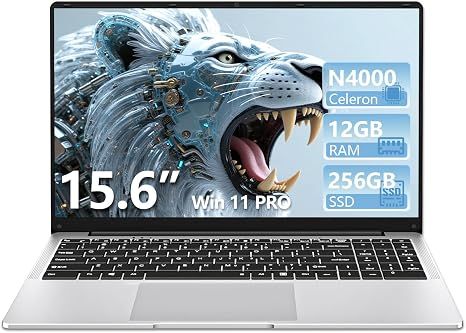 Laptop DUNHOO 15.6 Inch N4000 RAM 12GB SSD 256GB
