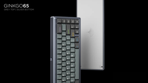 Ginkgo65 Keyboard - Grey x Silver