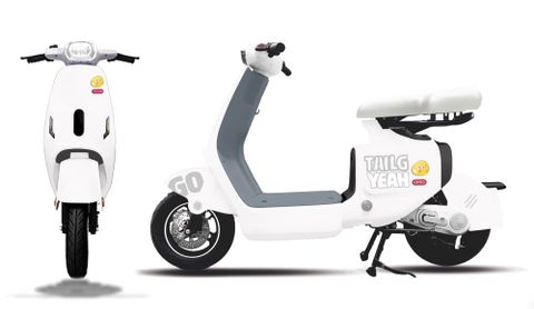 Xe đạp điện TAILG GR55