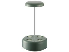  Máy trồng cây thủy sinh Wells Florin 