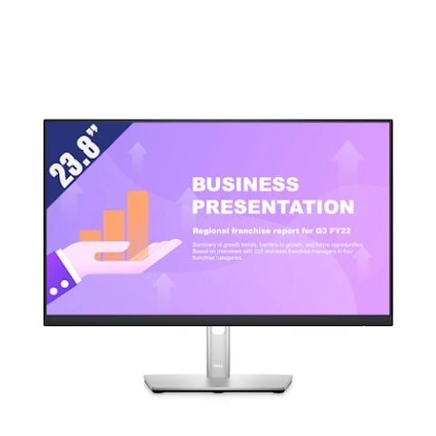 Dell P2422HE 23.8