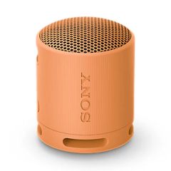  Loa Bluetooth Sony SRS-XB100 DCE 