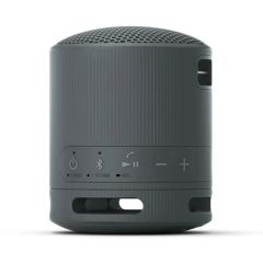  Loa Bluetooth Sony SRS-XB100 BCE 