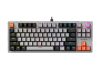 Bàn phím Gaming Rapoo V501 87