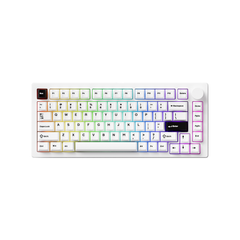  Bàn phím cơ MonsGeek M1 V5 Black on white Mirror Switch 