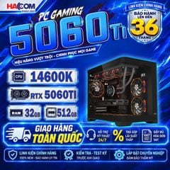  PC Gaming 5060Ti (Intel i5 14600K/RTX 5060 TI/32Gb Ram/512Gb SSD) 