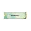 SSD Ediloca EN680E NVMe 256GB PCIe 3.0 x4 M.2