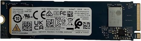 Ổ cứng SSD KIOXIA 256GB BG6 NVMe PCIe