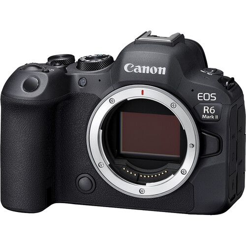 Ảnh minh họa Canon EOS R6 Mark II – Thân máy ảnh không gương lật Full-Frame 24.2MP 4K60 Hybrid 1