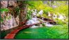 Màn hình Panasonic TH-43CQE2U 43 inch