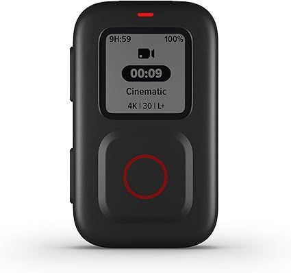GoPro The Remote