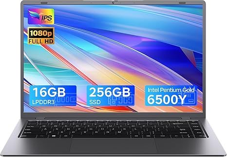 Máy tính xách tay 15.6 inch với bộ xử lý Pentium Gold 6500Y