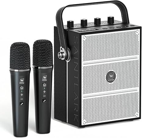 100W Powerful Voice Amplifier with 2 Wireless Microphones